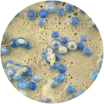 Blueberry Pancake Batter Butter Slime - Dope Slimes