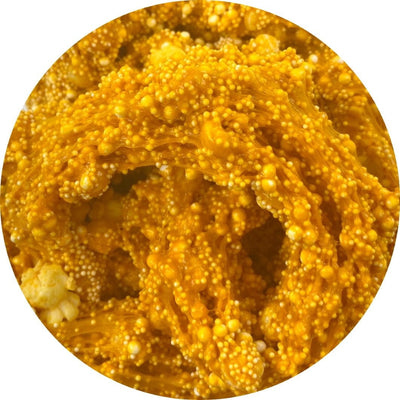 Caramel Corn Crunch Floam Slime - Shop Slime - Dope Slimes