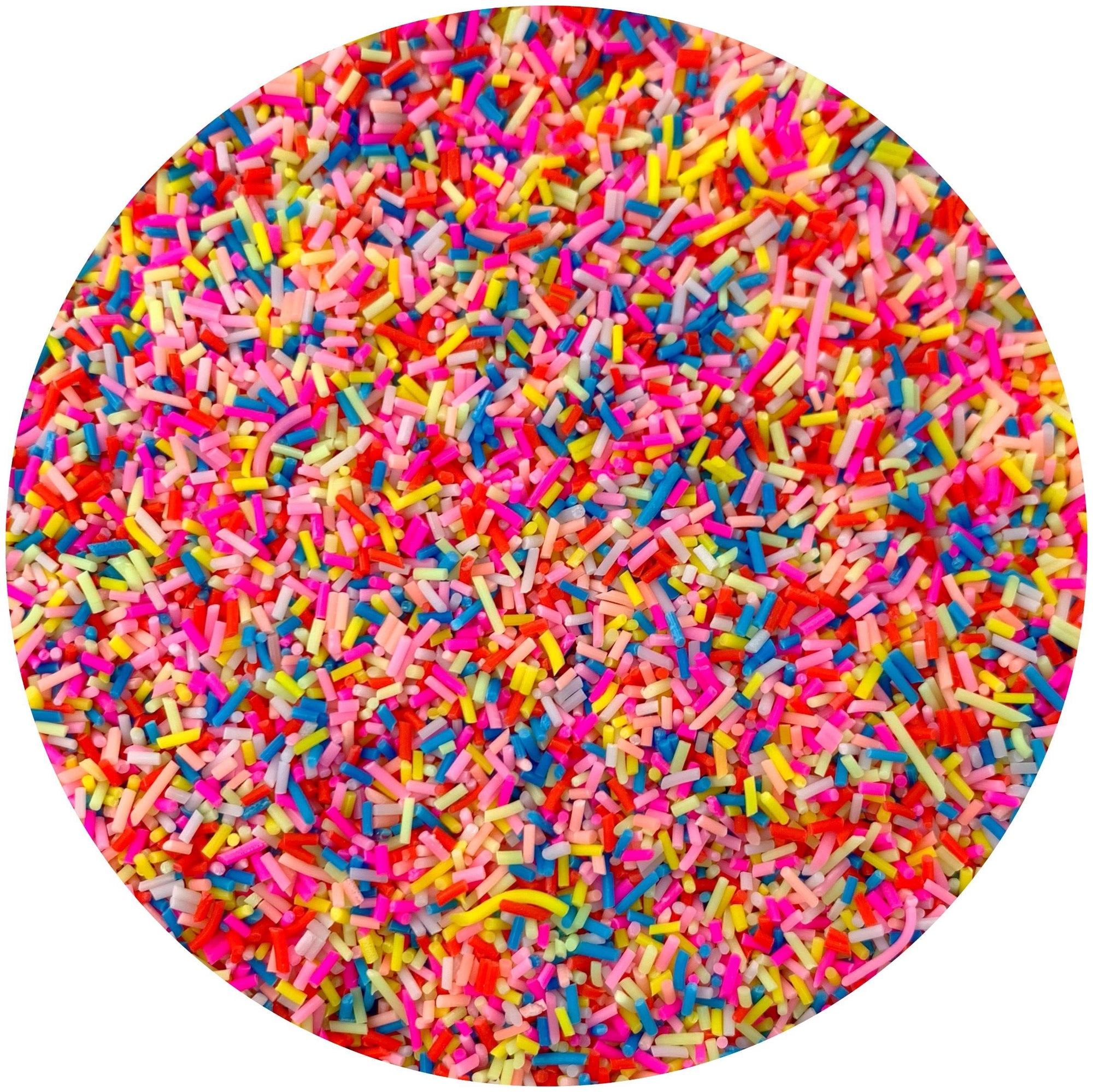 Rainbow Birthday Faux Sprinkles - Slime Toppings - Slime Supplies