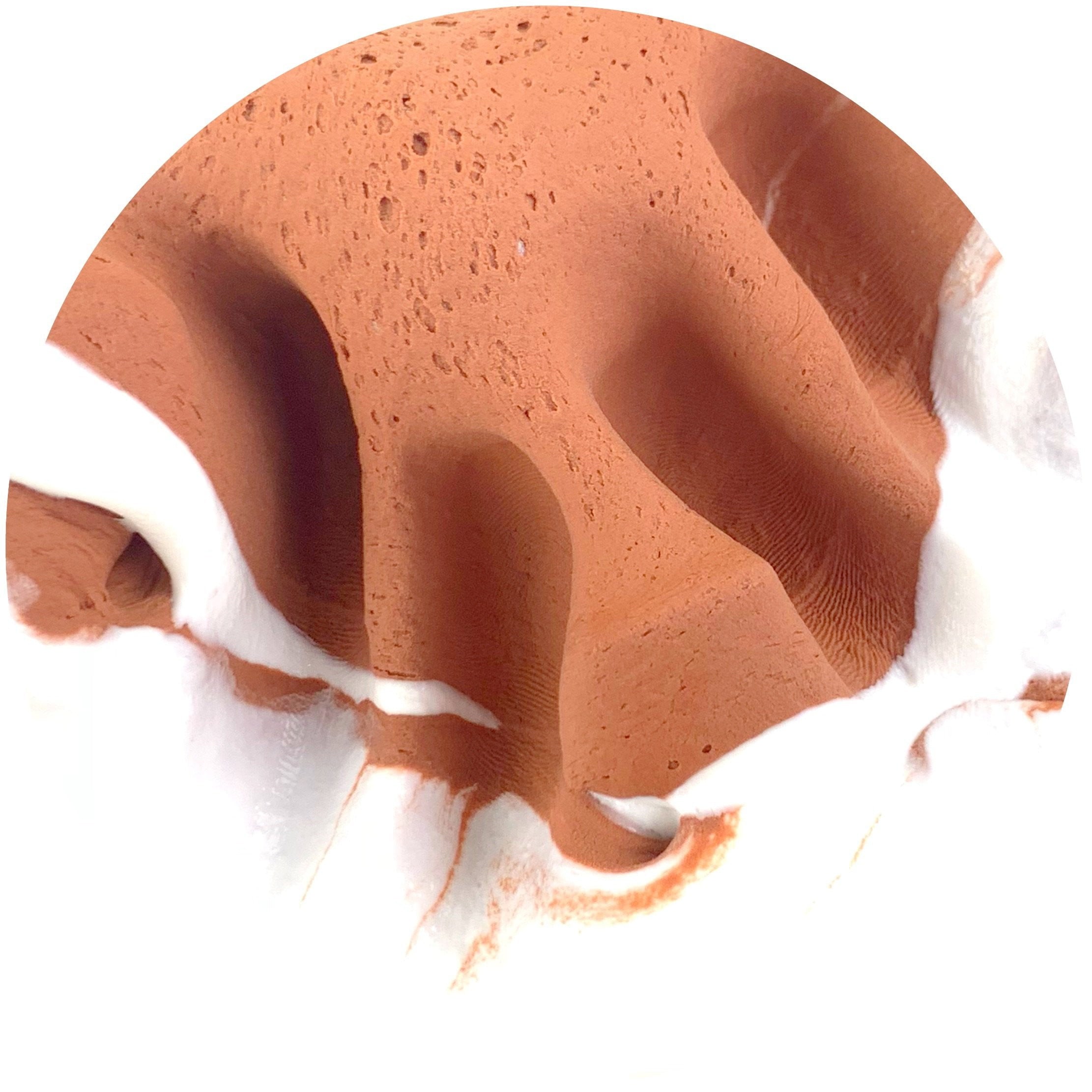 Original Ice Cream Sandwich Scented - Buy Slime - Dope Slimes Shop 