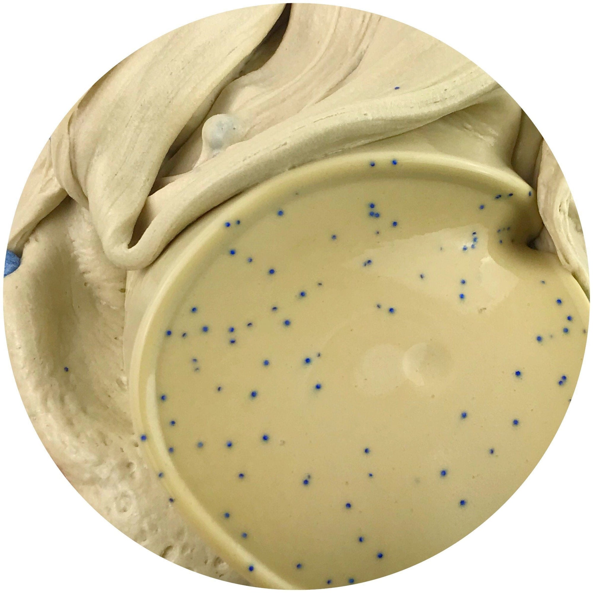 Blueberry Pancake Batter Butter Slime - Dope Slimes